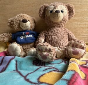 著者の子ども達が使っていたぬいぐるみの写真。ハイハイをしたくなるように少し遠くにお気に入りのぬいぐるみを置いて遊んであげました。